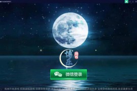 网狐旗舰大联盟二开/博乐娱乐