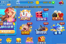 天天游戏组件+双端app 火萤二开