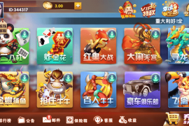 王者星耀 万利二次开发版（独特热更+全民代理）